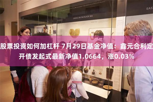 股票投资如何加杠杆 7月29日基金净值：鑫元合利定开债发起式最新净值1.0664，涨0.03%