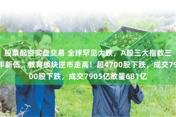 股票配资实盘交易 全球罕见大跌，A股三大指数三连跌，沪指创半年新低，教育板块逆市走高！超4700股下跌，成交7905亿放量681亿