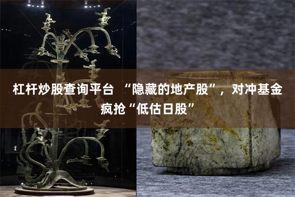 杠杆炒股查询平台  “隐藏的地产股”，对冲基金疯抢“低估日股”