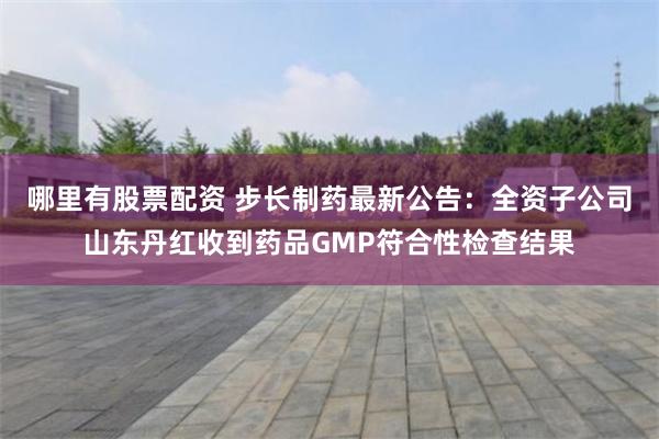 哪里有股票配资 步长制药最新公告：全资子公司山东丹红收到药品GMP符合性检查结果