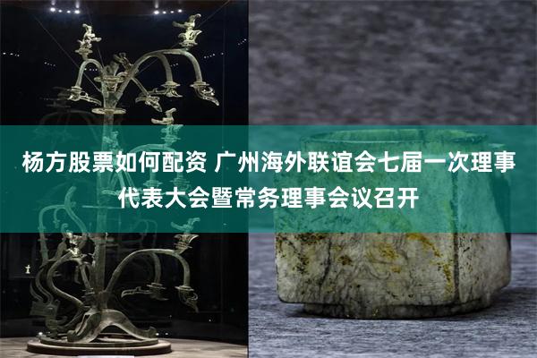 杨方股票如何配资 广州海外联谊会七届一次理事代表大会暨常务理事会议召开