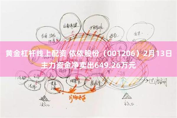 黄金杠杆线上配资 依依股份（001206）2月13日主力资金净卖出649.26万元