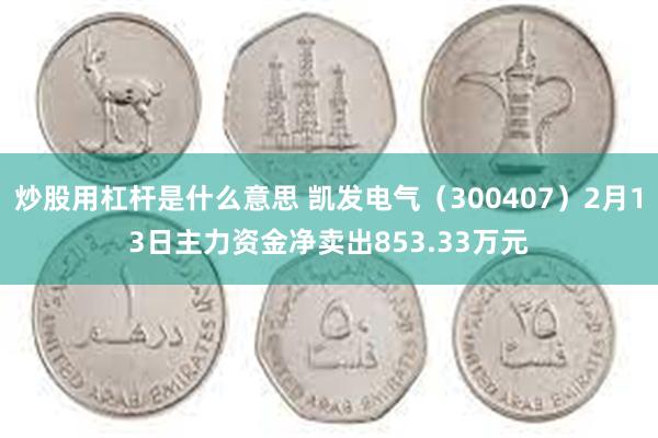 炒股用杠杆是什么意思 凯发电气（300407）2月13日主力资金净卖出853.33万元