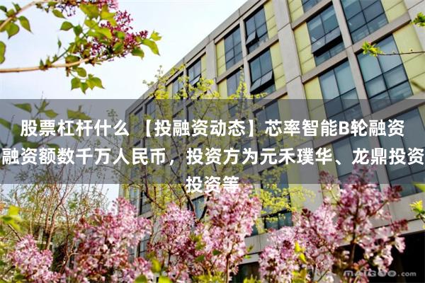 股票杠杆什么 【投融资动态】芯率智能B轮融资，融资额数千万人民币，投资方为元禾璞华、龙鼎投资等