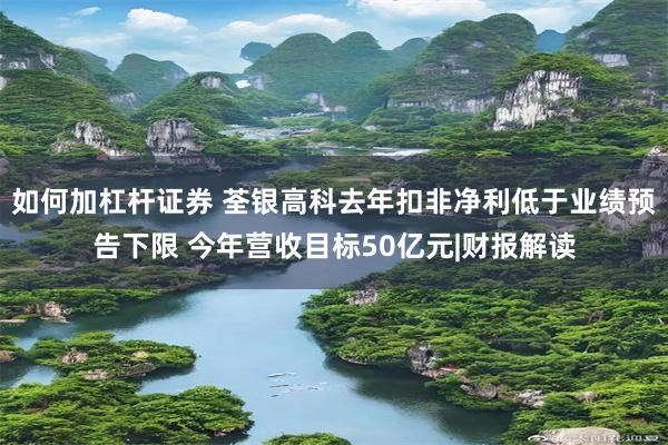 如何加杠杆证券 荃银高科去年扣非净利低于业绩预告下限 今年营收目标50亿元|财报解读