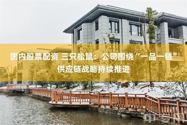 国内股票配资 三只松鼠：公司围绕“一品一链”供应链战略持续推进