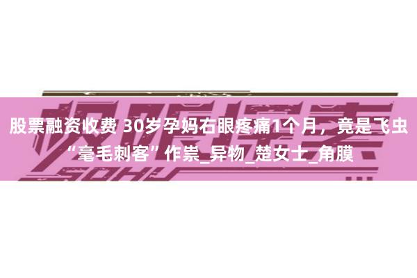 股票融资收费 30岁孕妈右眼疼痛1个月，竟是飞虫“毫毛刺客”作祟_异物_楚女士_角膜