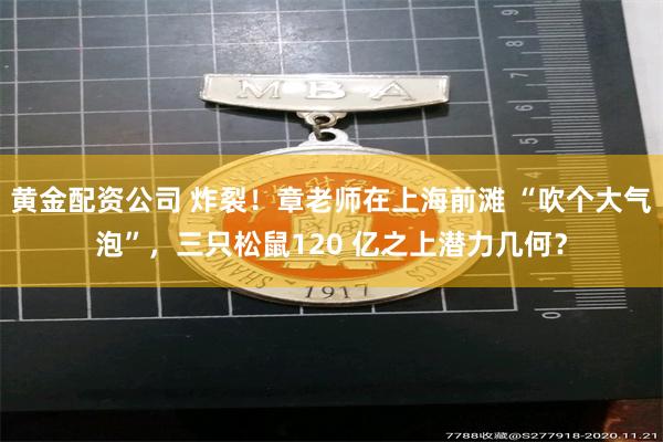 黄金配资公司 炸裂！章老师在上海前滩 “吹个大气泡”，三只松鼠120 亿之上潜力几何？