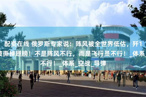 配资在线 俄罗斯专家说：阵风被全世界低估，歼10C随时会被撕掉翅膀！不是阵风不行，而是飞行员不行！_体系_空战_导弹