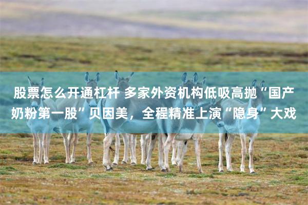 股票怎么开通杠杆 多家外资机构低吸高抛“国产奶粉第一股”贝因美，全程精准上演“隐身”大戏