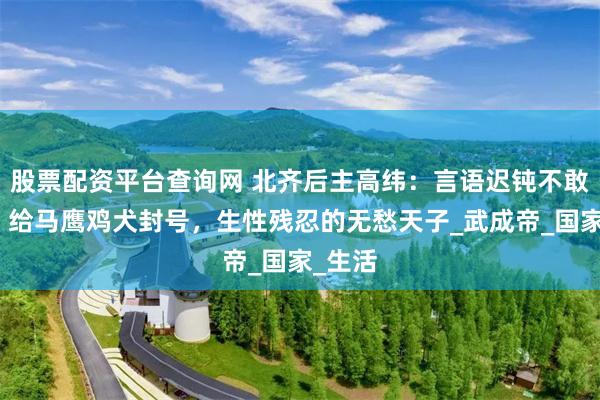 股票配资平台查询网 北齐后主高纬：言语迟钝不敢见人，给马鹰鸡犬封号，生性残忍的无愁天子_武成帝_国家_生活