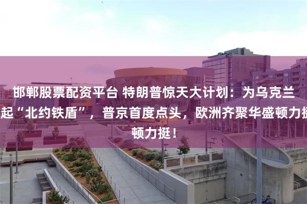 邯郸股票配资平台 特朗普惊天大计划：为乌克兰筑起“北约铁盾”，普京首度点头，欧洲齐聚华盛顿力挺！