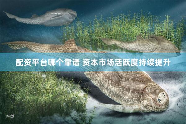 配资平台哪个靠谱 资本市场活跃度持续提升