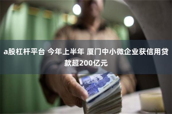 a股杠杆平台 今年上半年 厦门中小微企业获信用贷款超200亿元