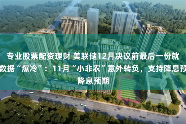 专业股票配资理财 美联储12月决议前最后一份就业数据“爆冷”:11月“小非农”意外转负,支持降息预期