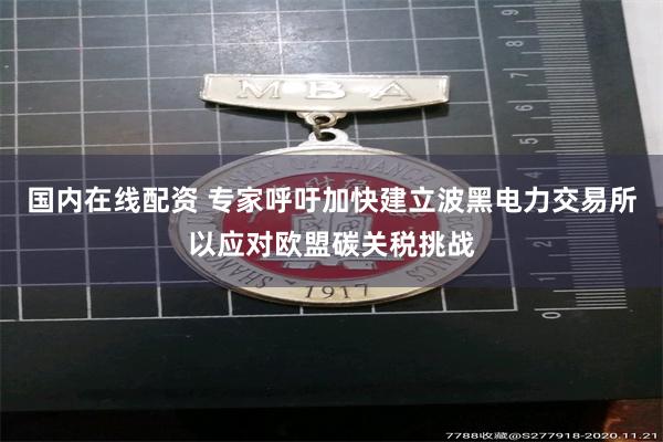 国内在线配资 专家呼吁加快建立波黑电力交易所以应对欧盟碳关税挑战