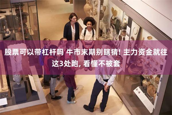 股票可以带杠杆吗 牛市末期别瞎猜! 主力资金就往这3处跑, 看懂不被套